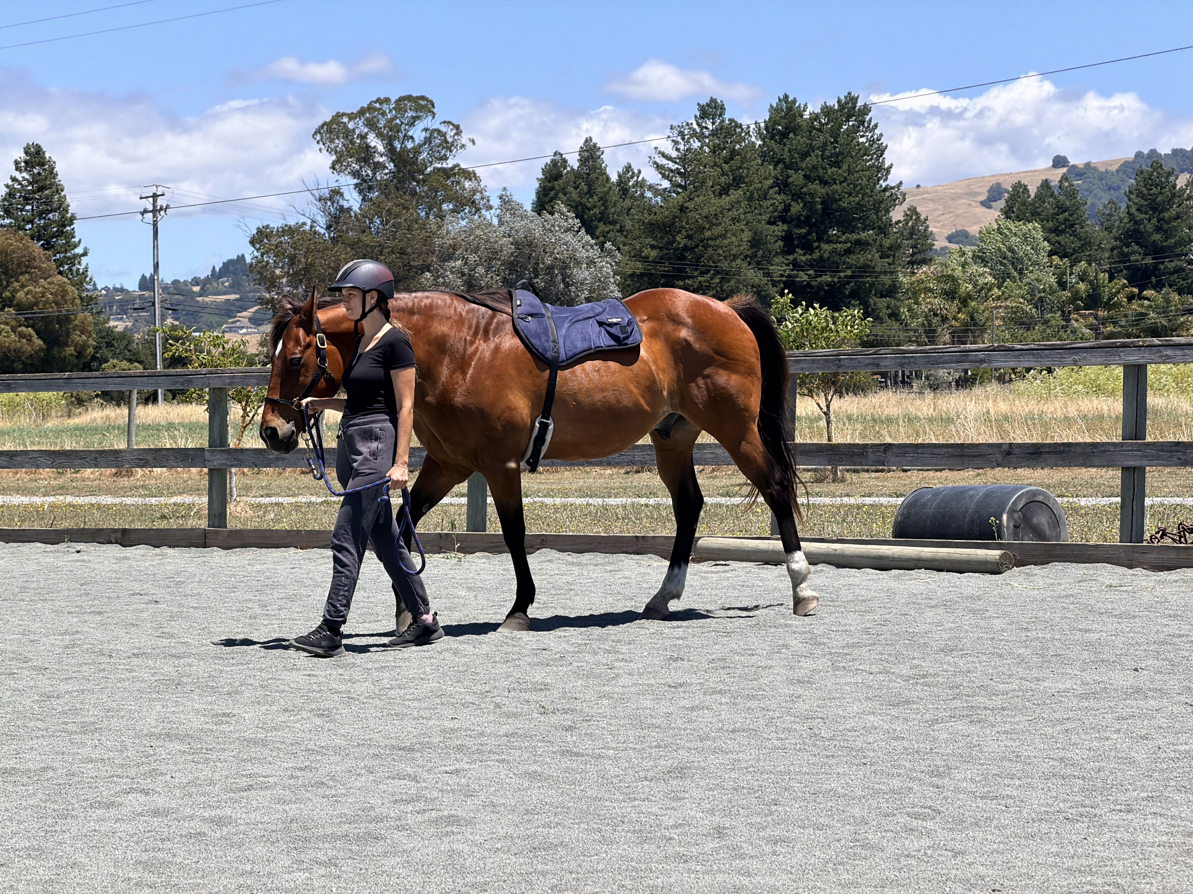 Children who love their weekly time with the horses